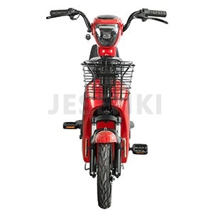 Portable Electric Scooter  (4)