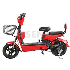 Portable Electric Scooter  (2)